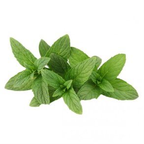 Mint Explosion