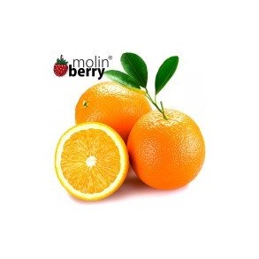 JUICY ORANGE Molin
