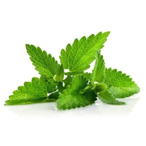 MENTHOL (BOLSJEHUSET)
