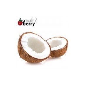 PALM COCONUT Molin