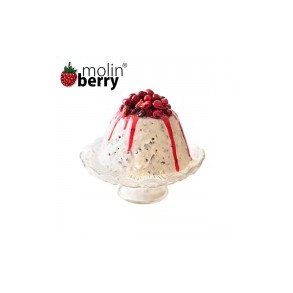 PANNA COTTA  Molin